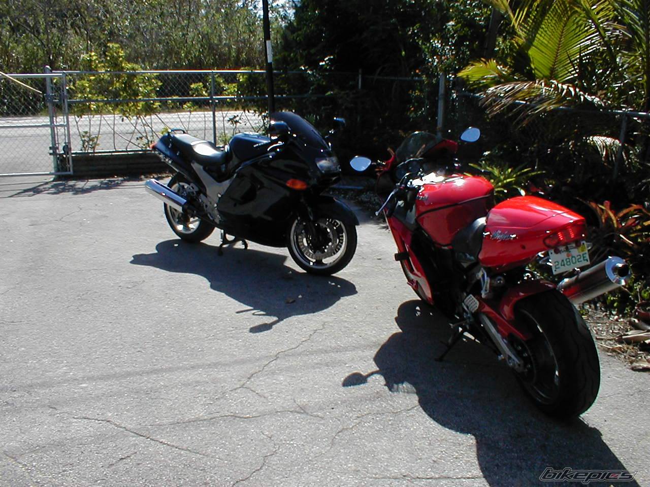 Photo 49585