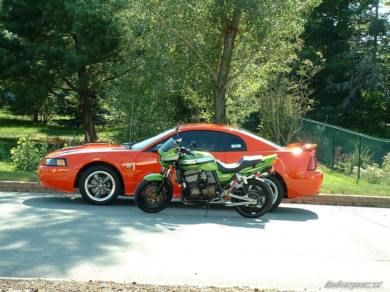 Bike Photo 495963