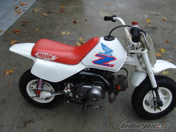 Photo 496124