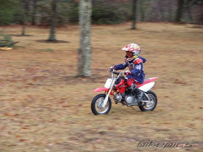 Photo 496128