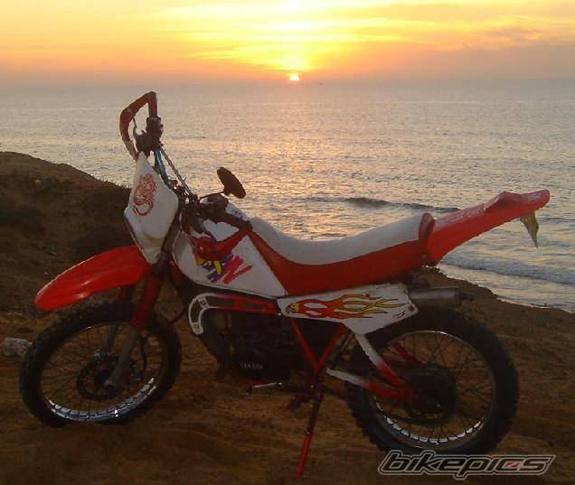 Bike Photo 496269