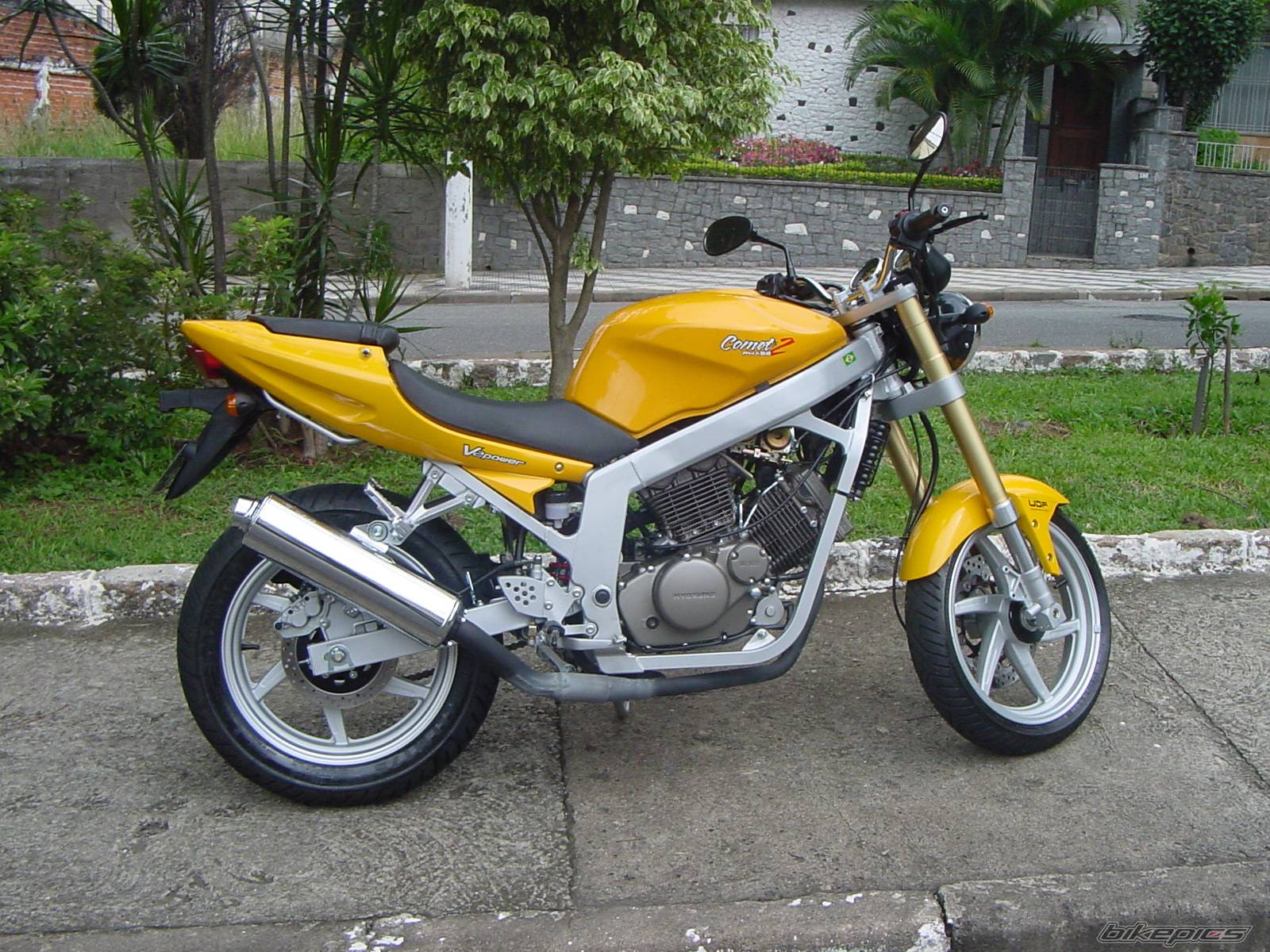 Photo 496273