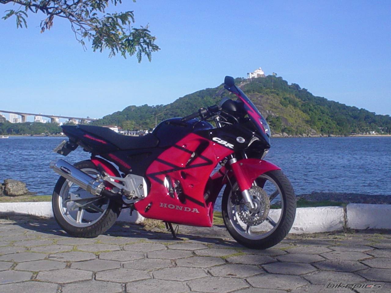 Photo 496288