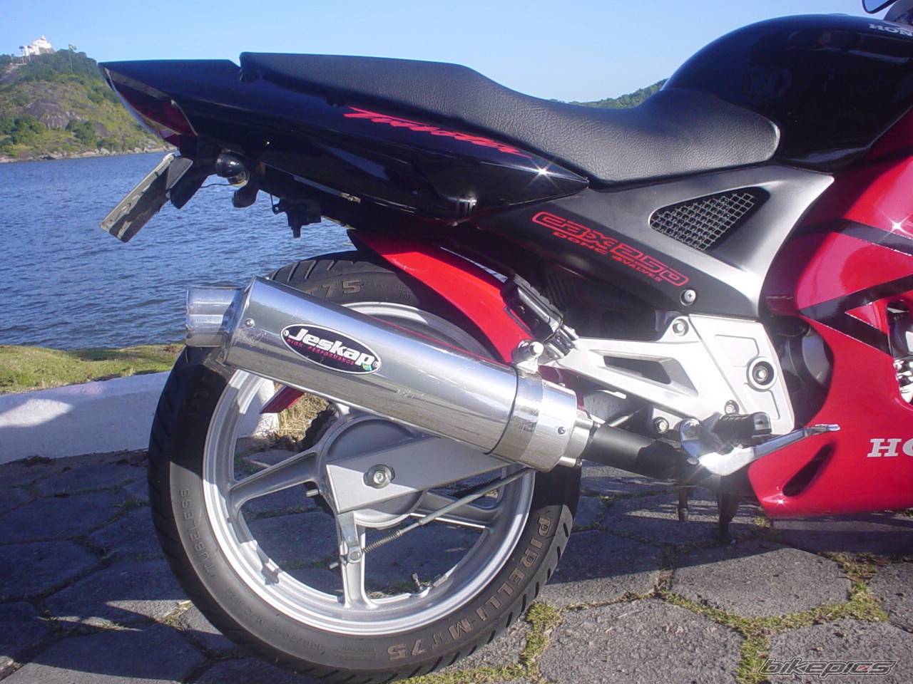 Photo 496290