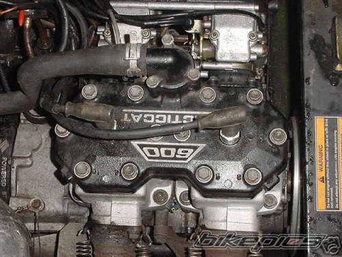 Photo 496526