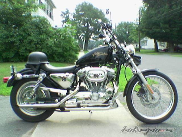 Photo 496558