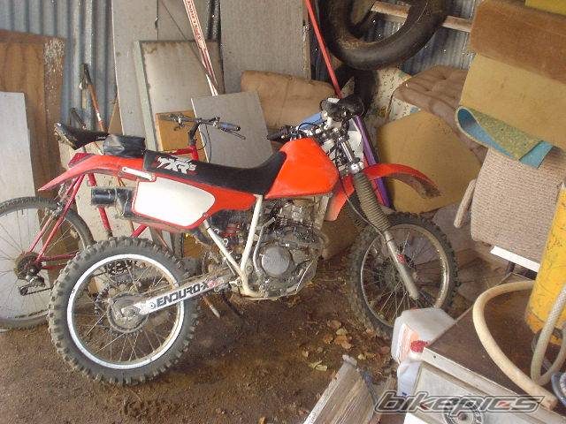 Bike Photo 49656