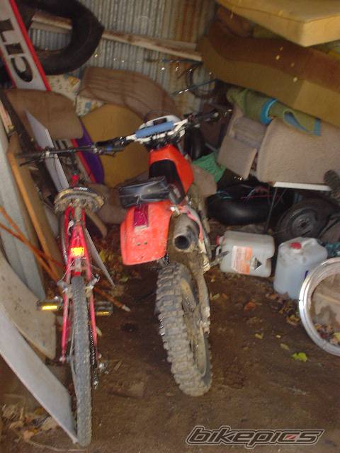 Bike Photo 49658