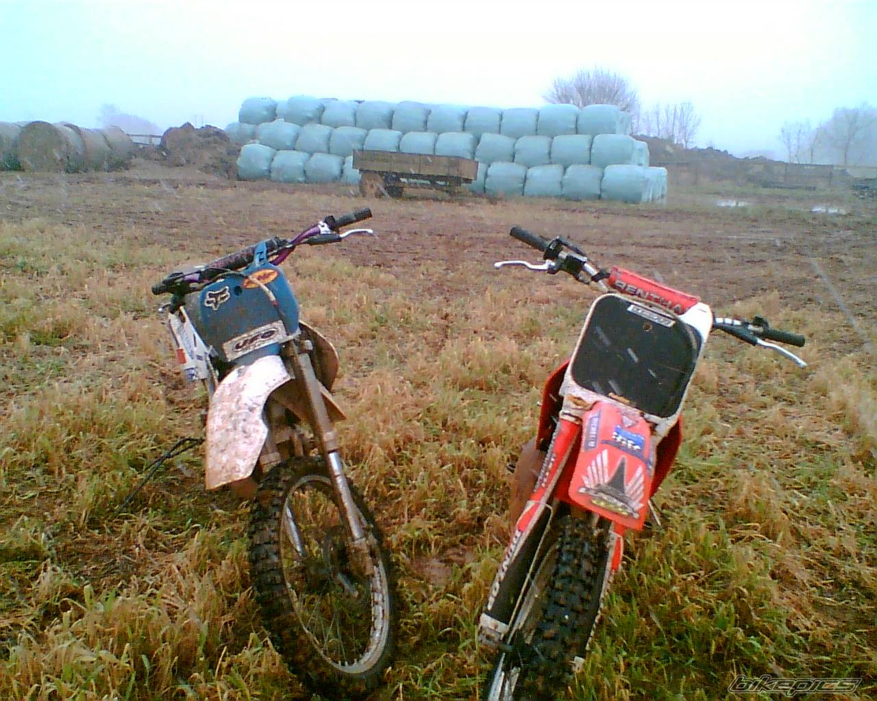 Photo 496789