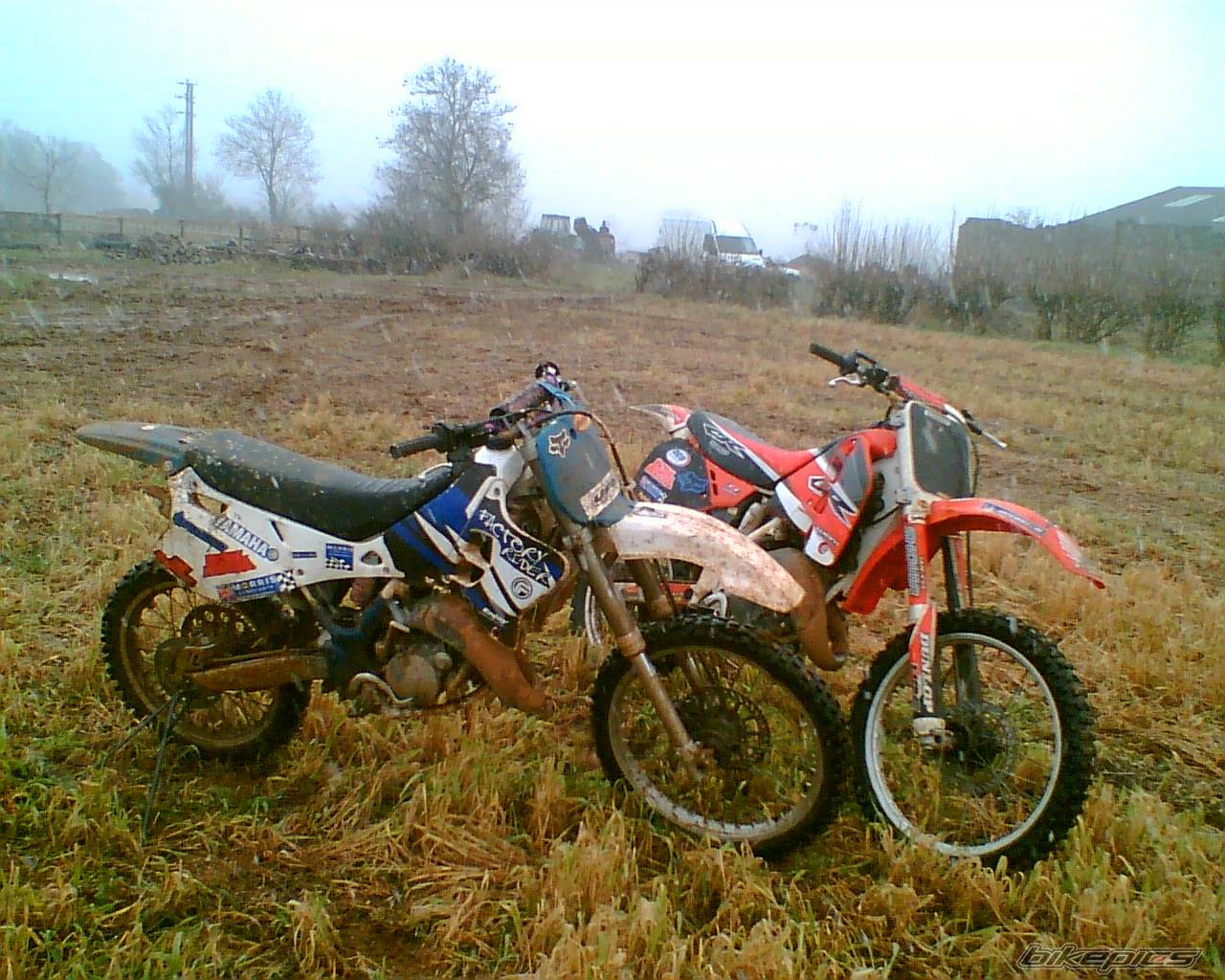 Photo 496792