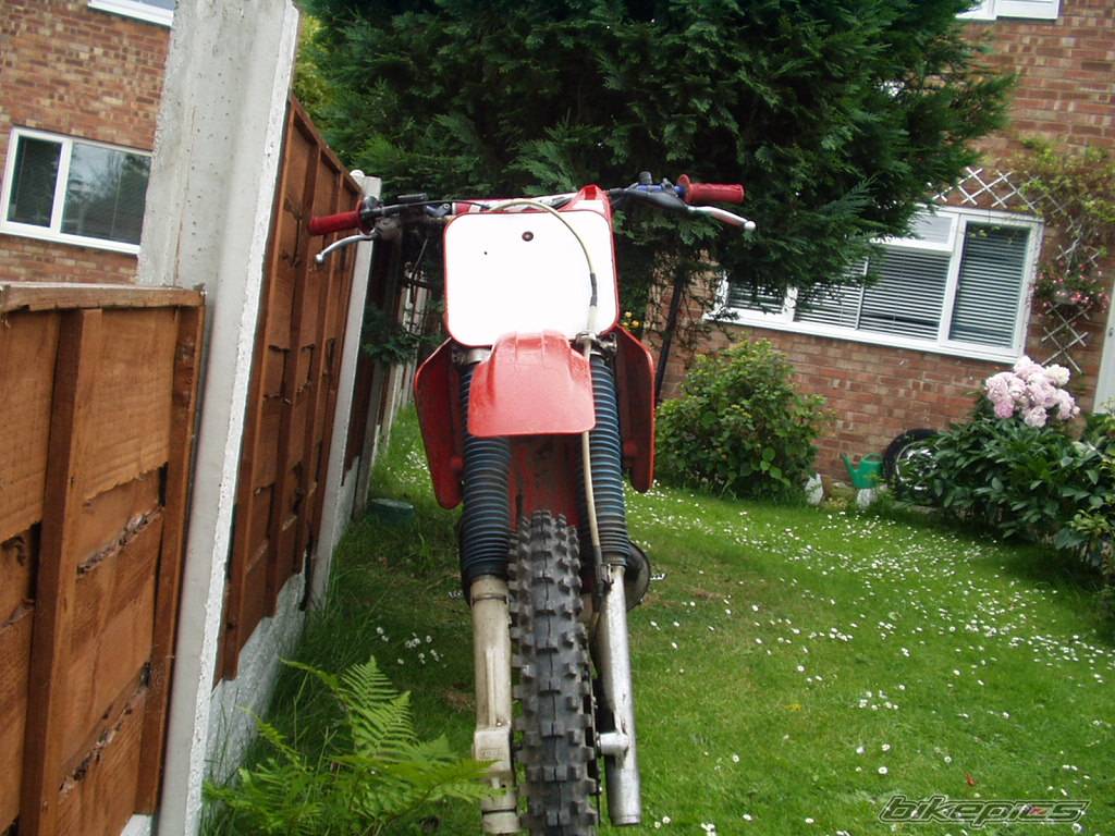 Photo 49689