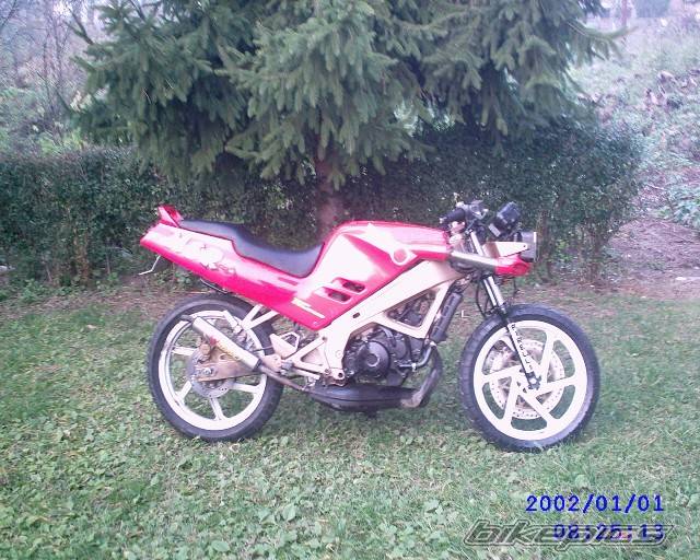 Photo 496962