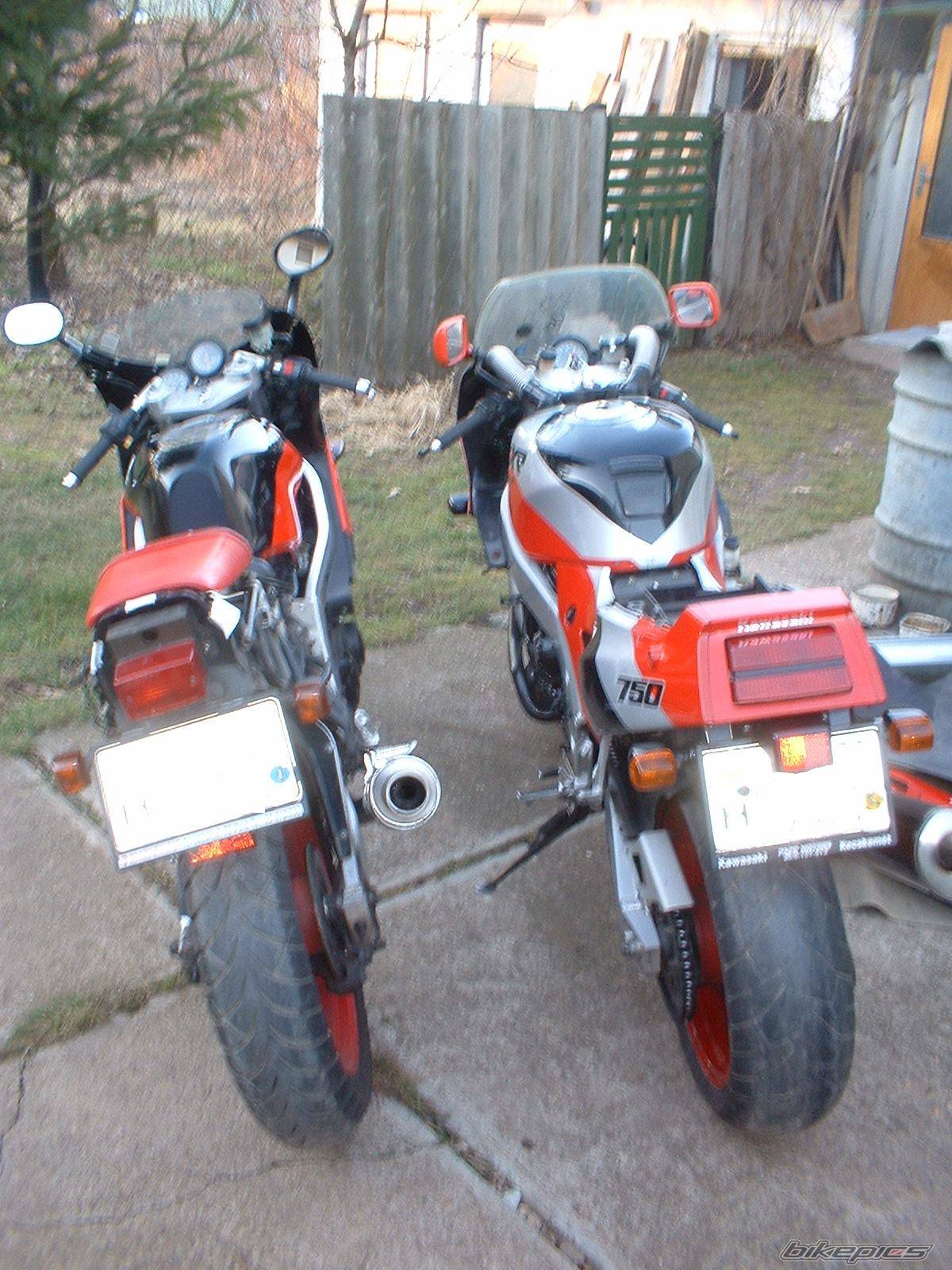 Bike Photo 496990