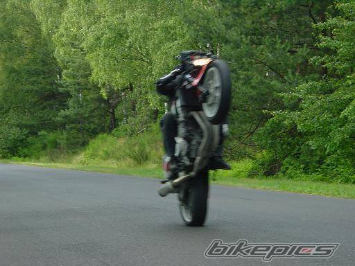 Photo 496991