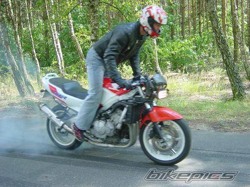 Photo 496992