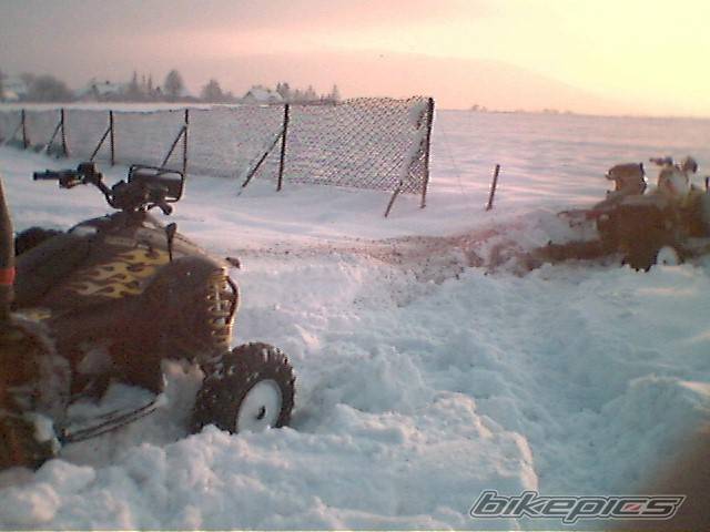 Photo 497001