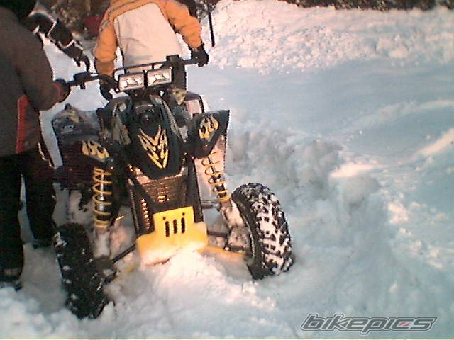 Photo 497006