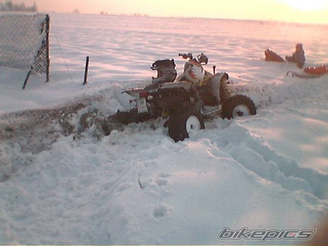 Photo 497007