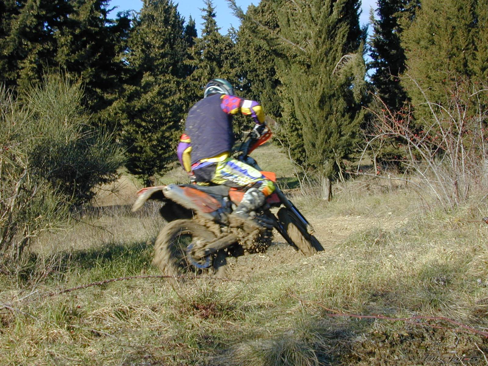Photo 497127
