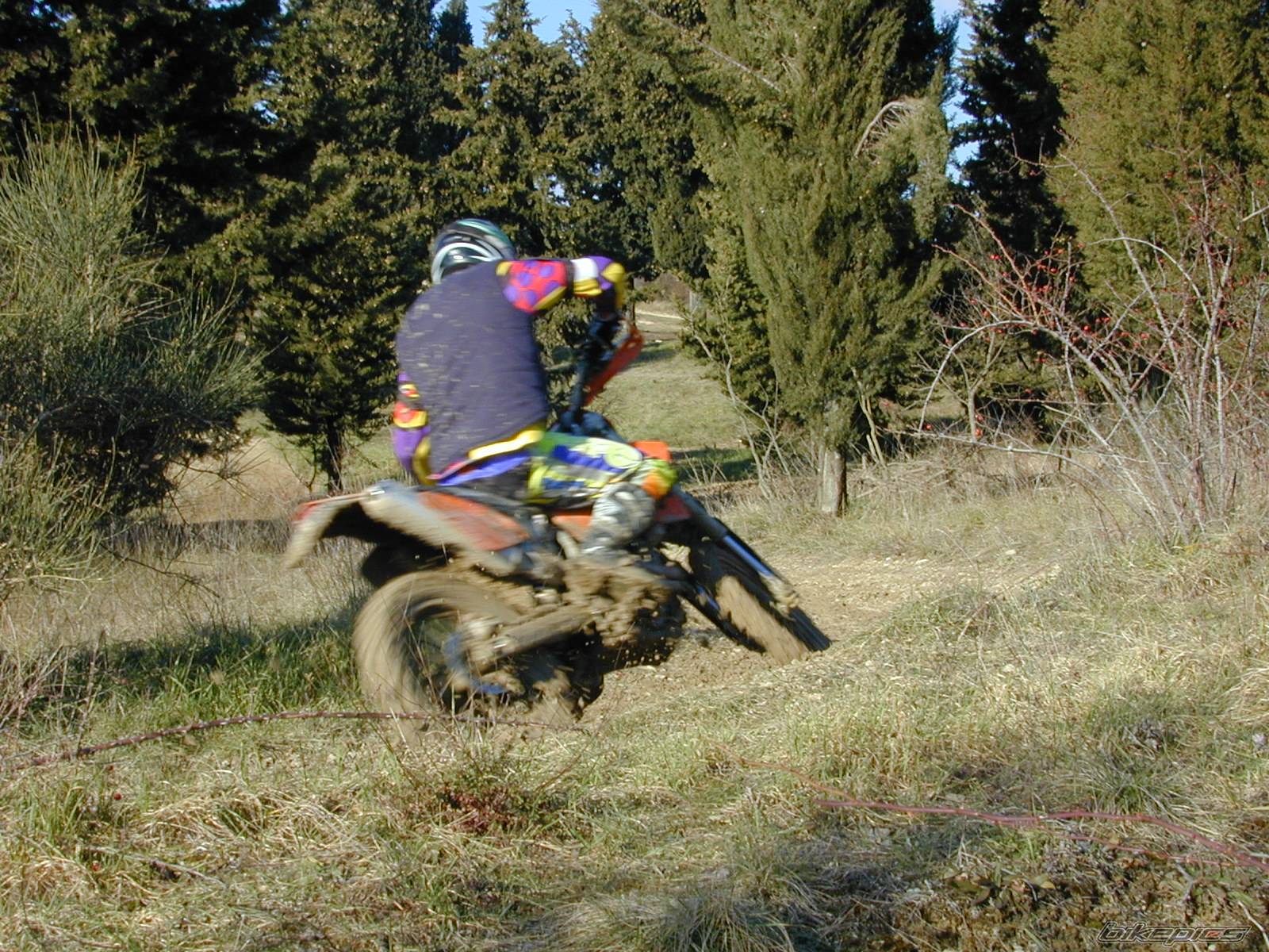 Photo 497128