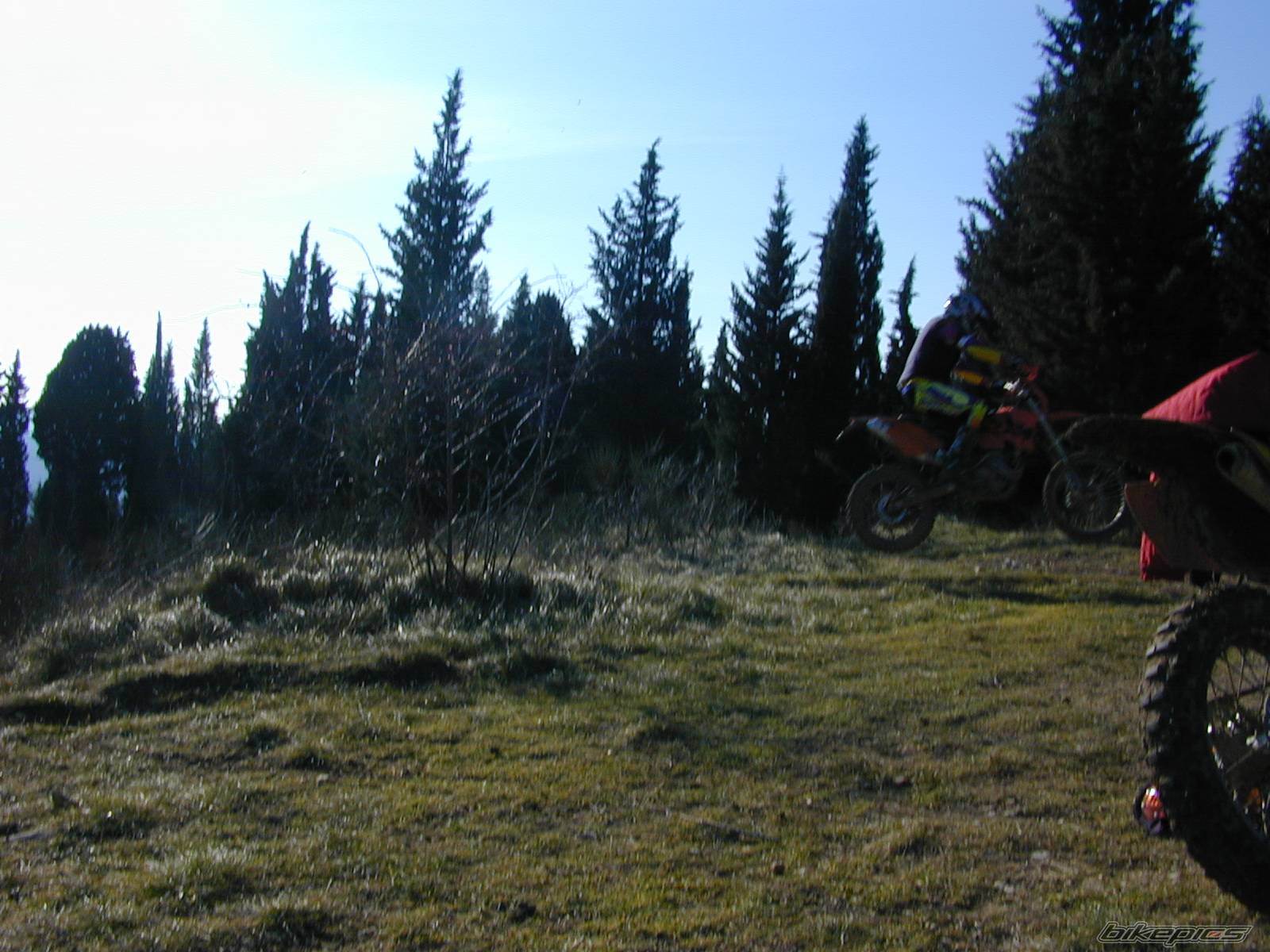 Photo 497130