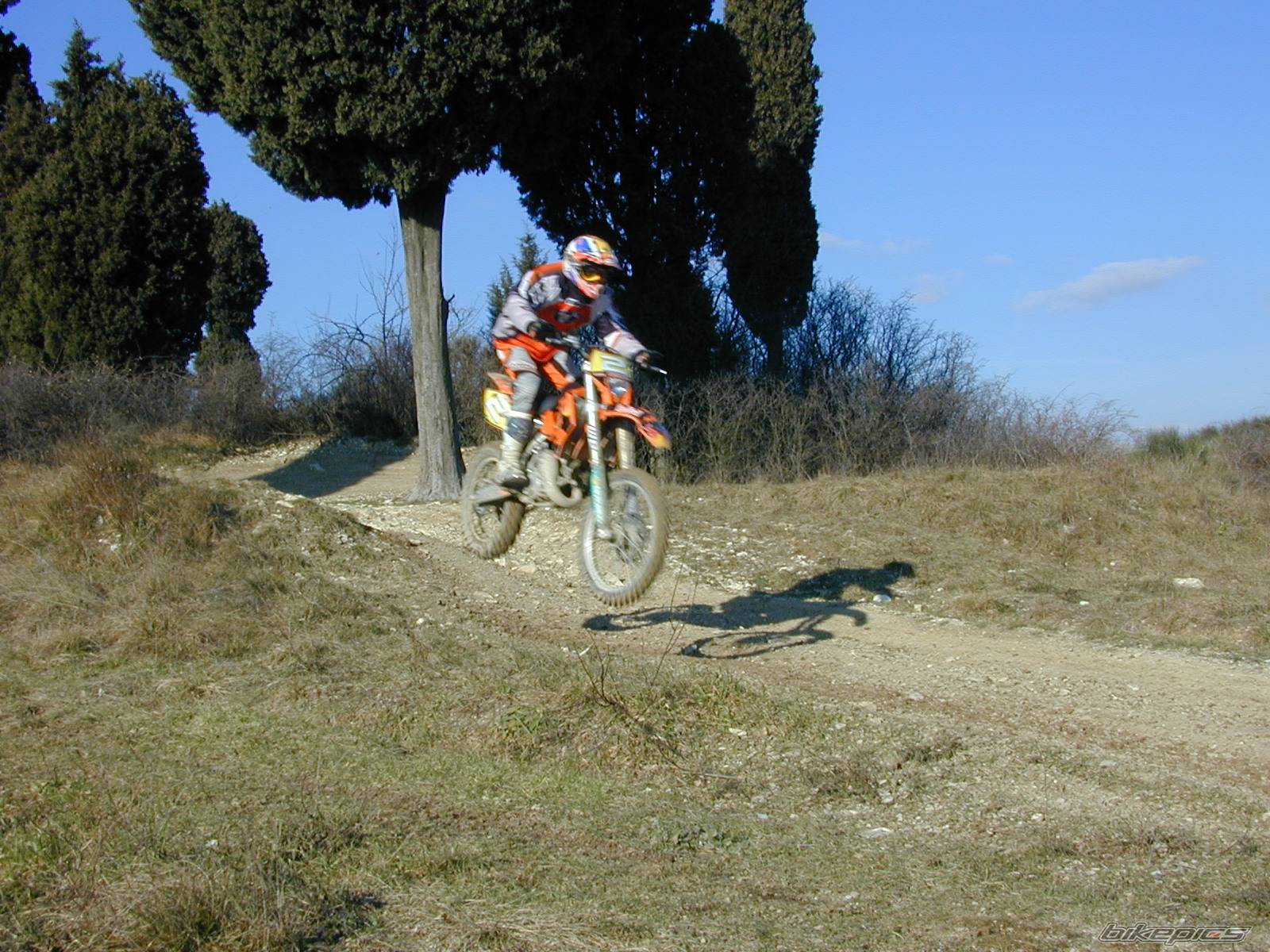 Photo 497133