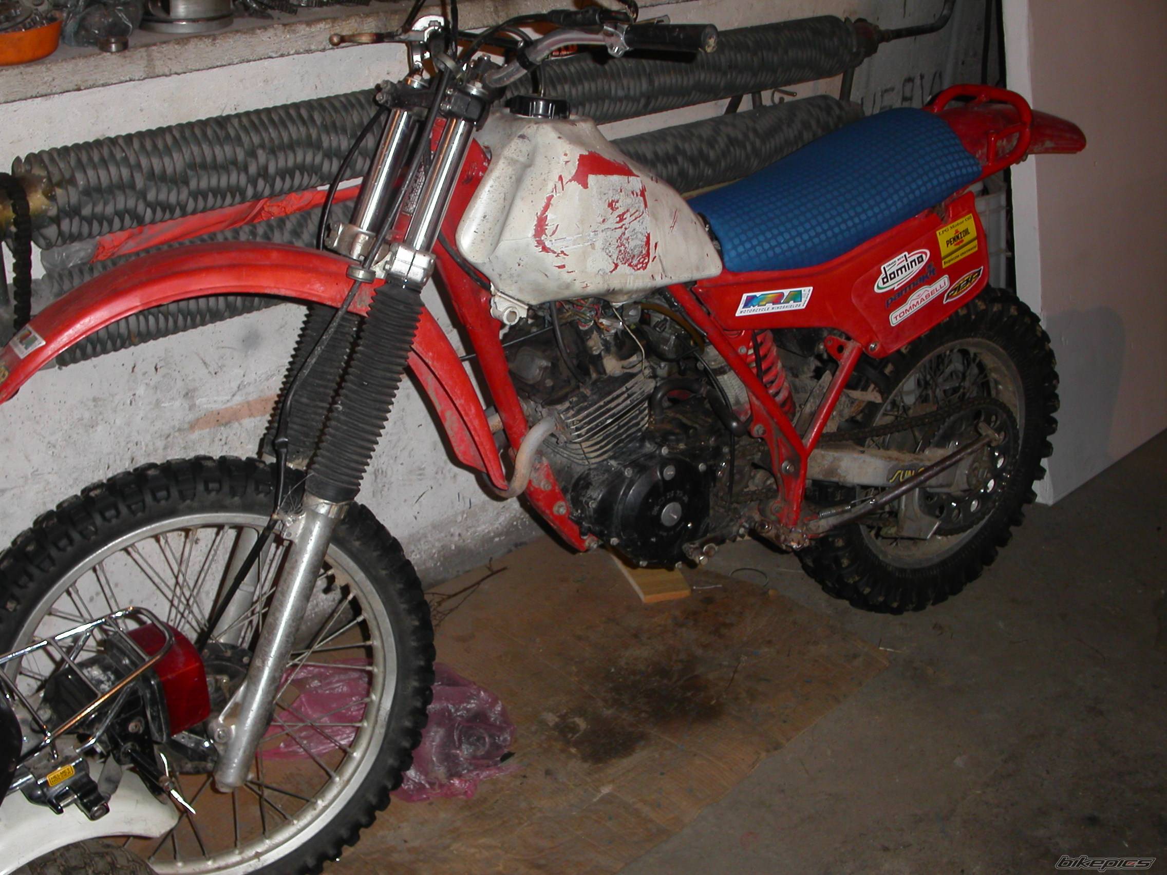 Photo 497134