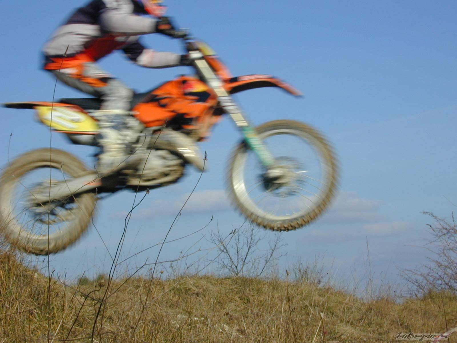 Photo 497135