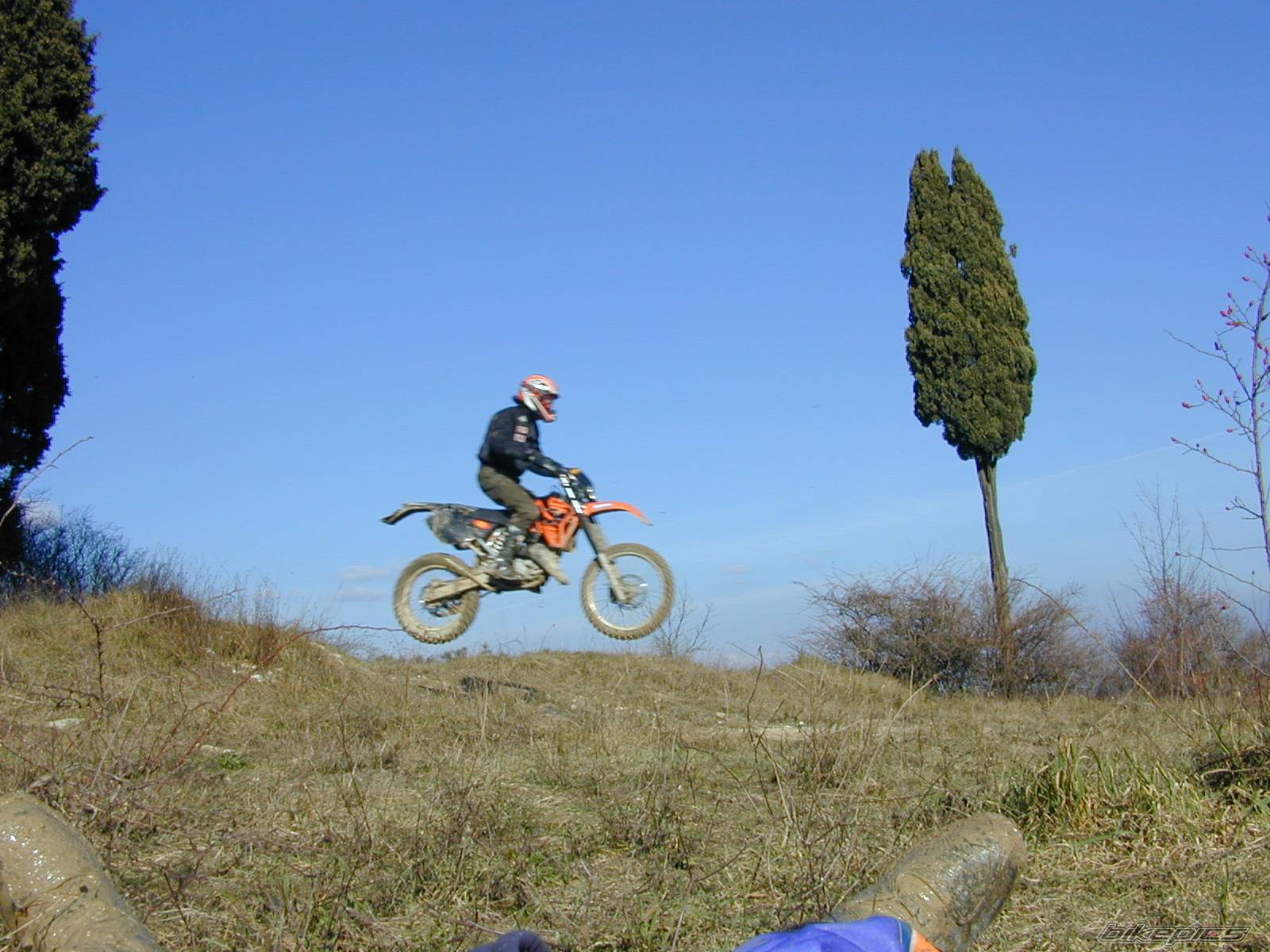 Photo 497136
