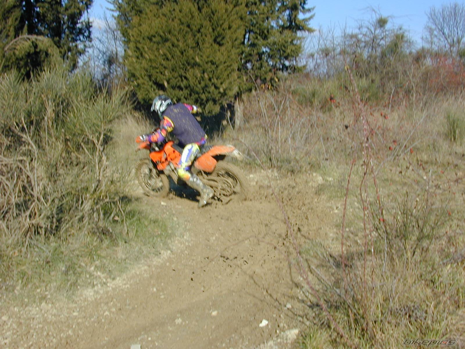 Photo 497143
