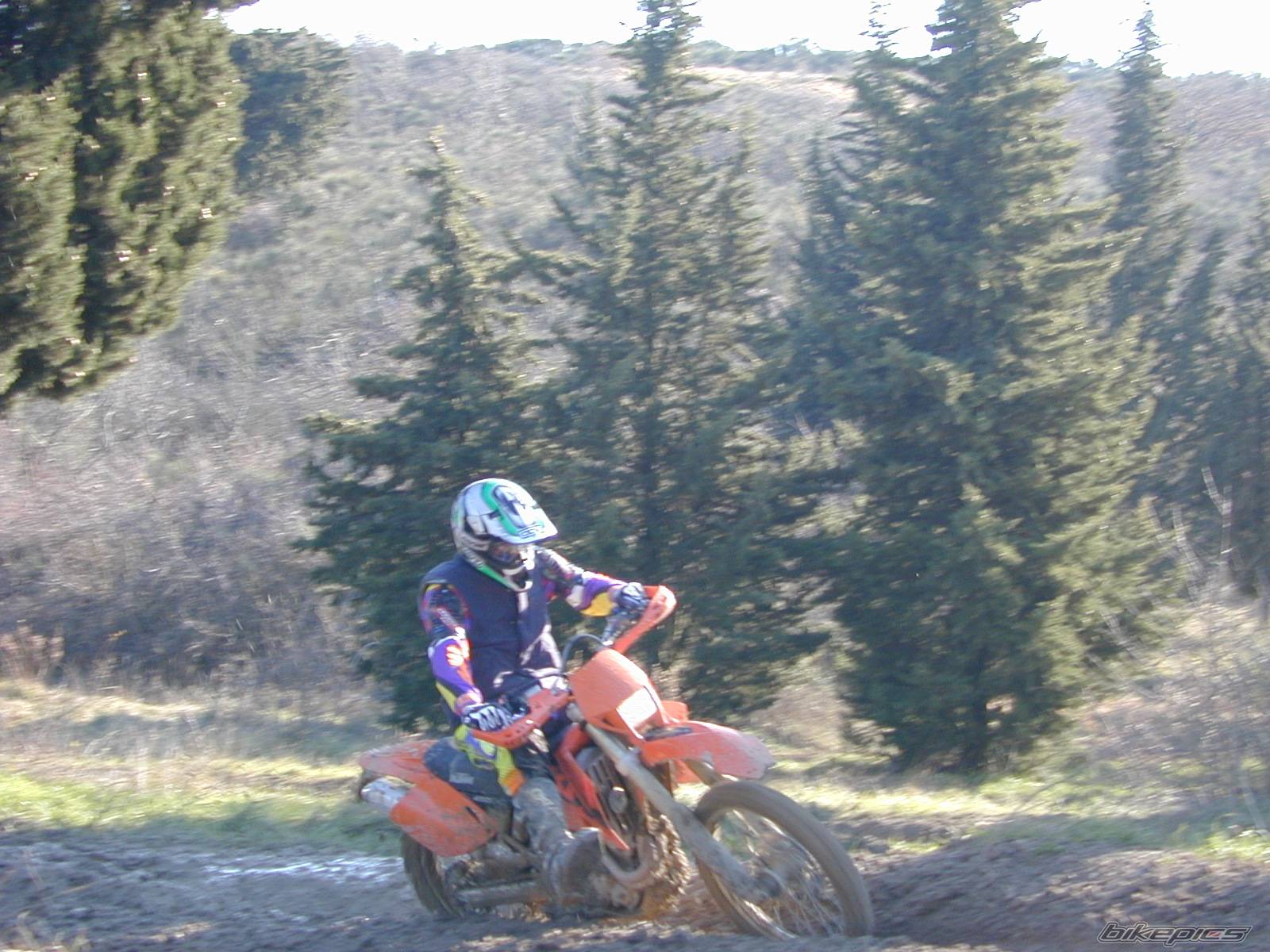 Photo 497146