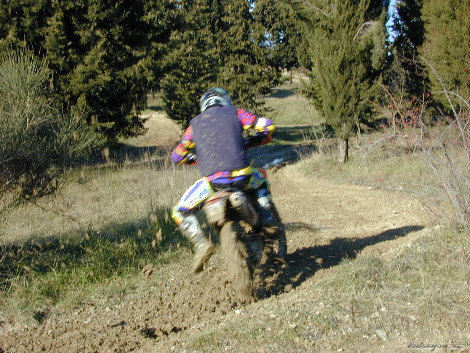 Photo 497148