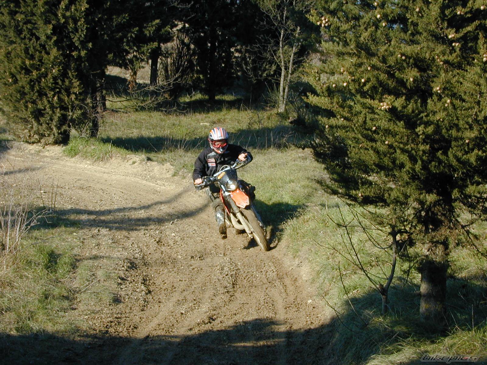 Photo 497149