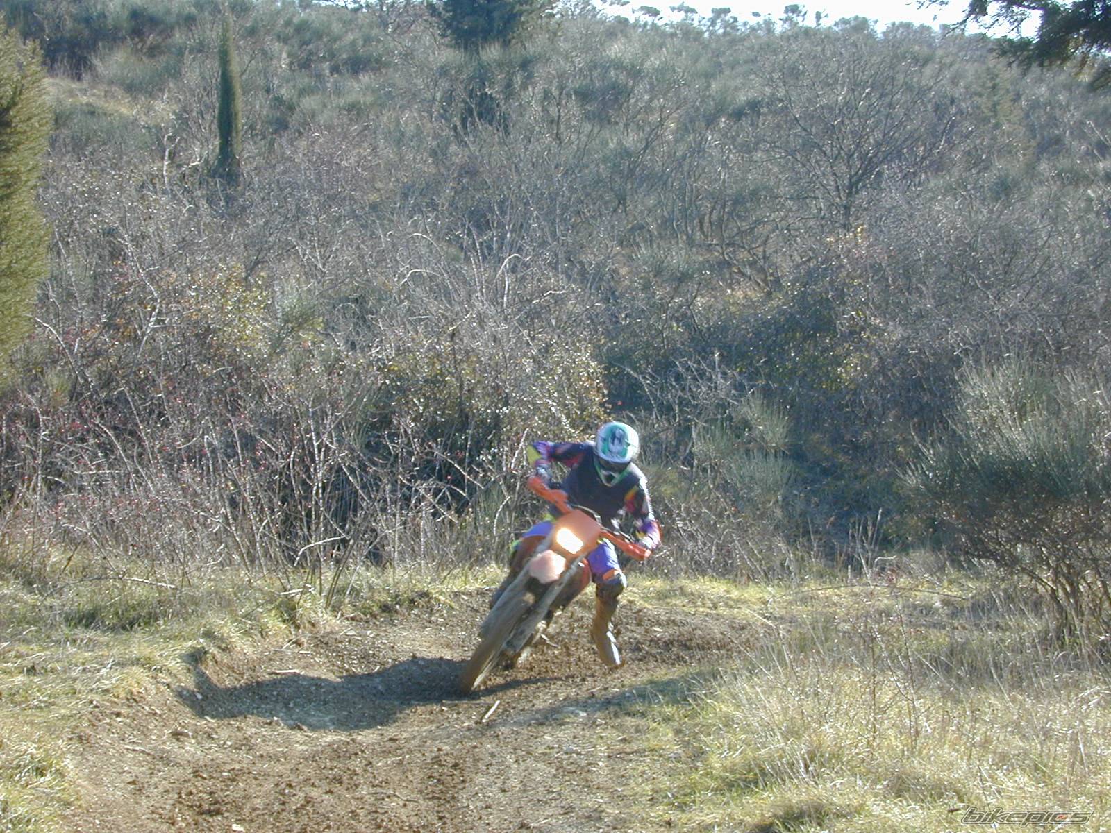 Photo 497151