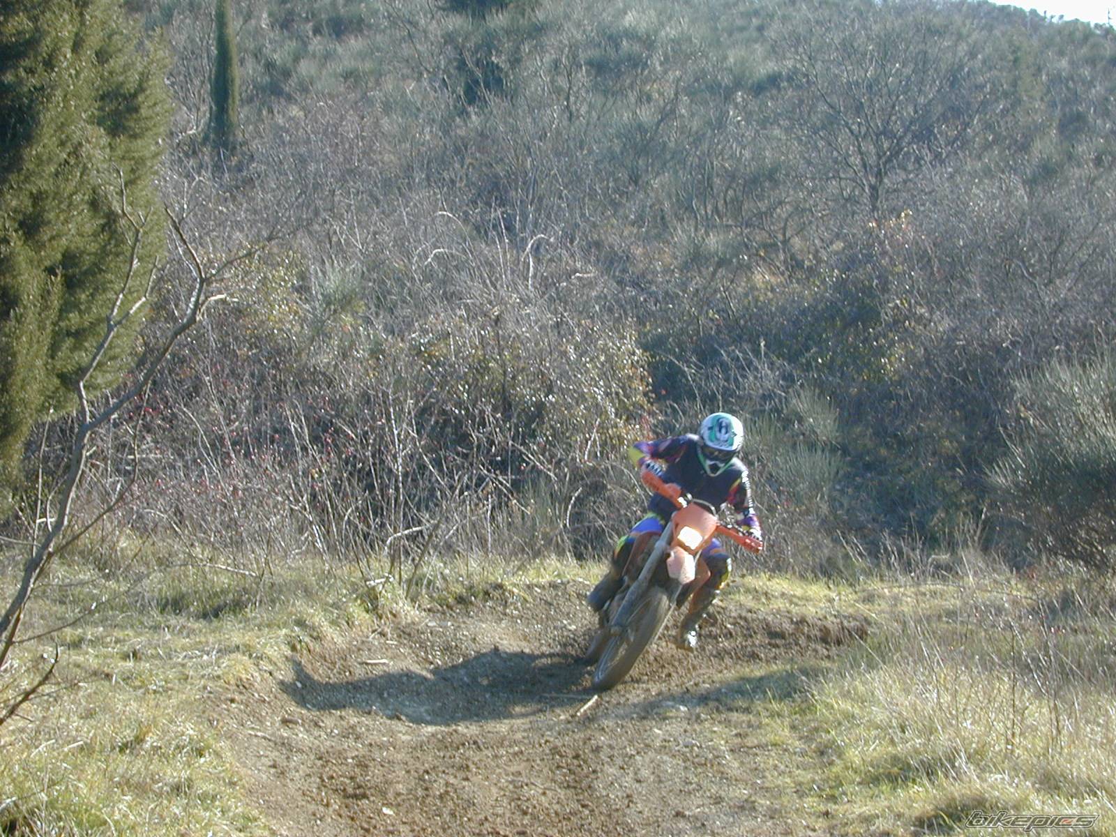 Photo 497154