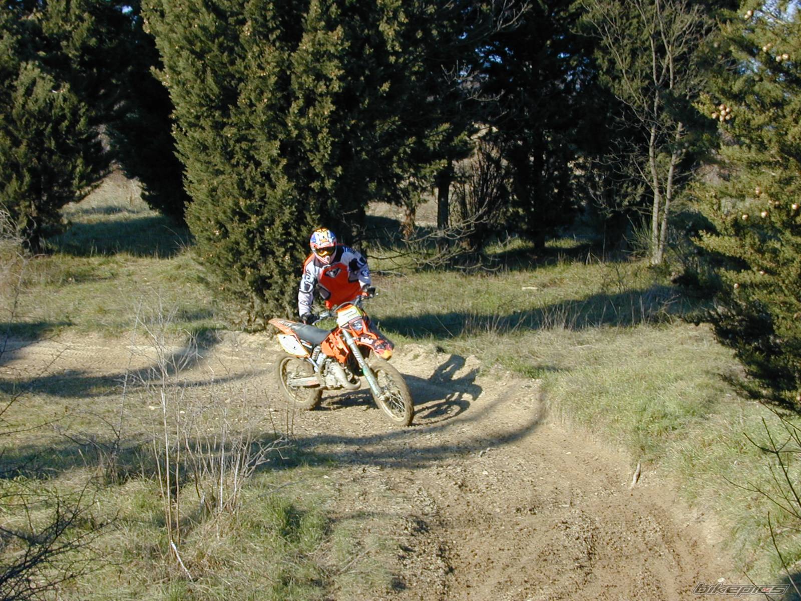 Photo 497155