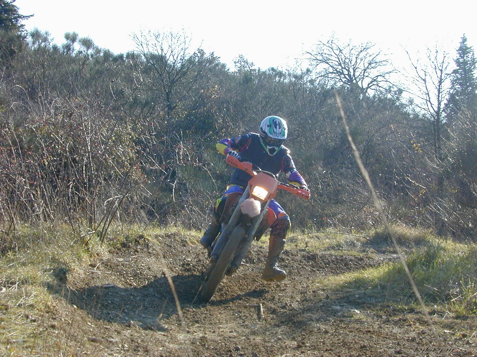 Photo 497162