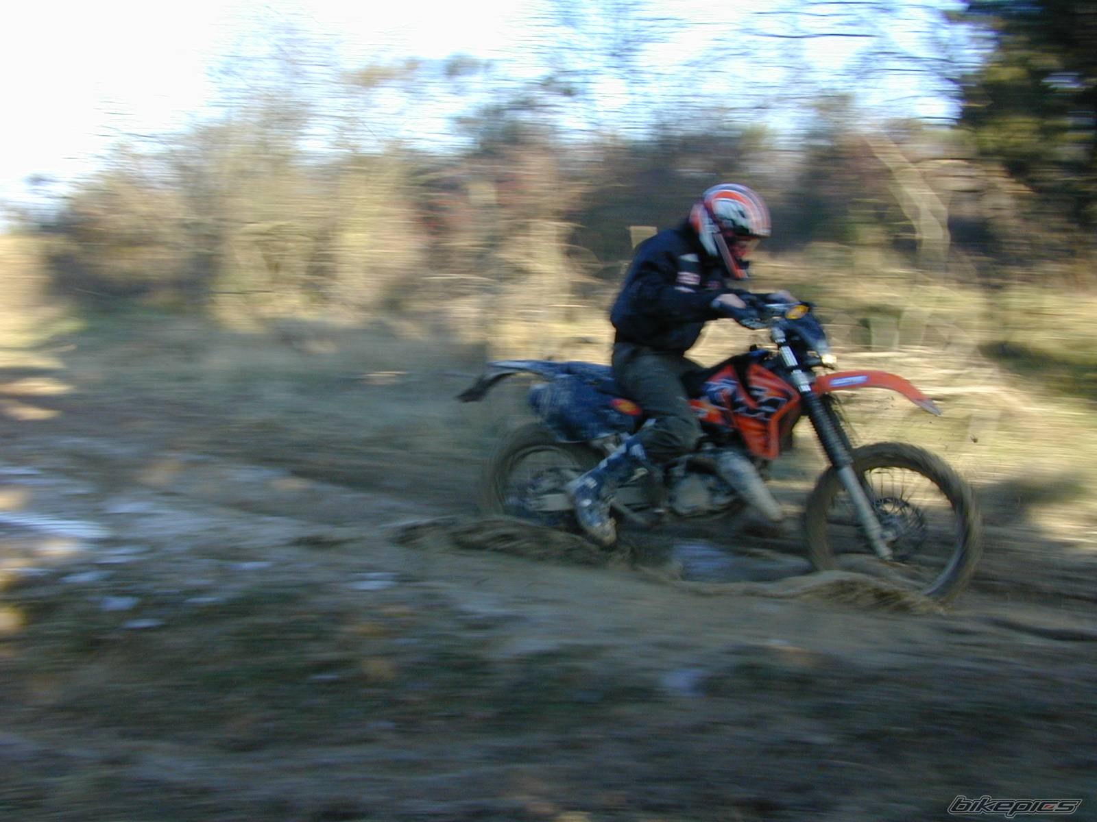 Photo 497169