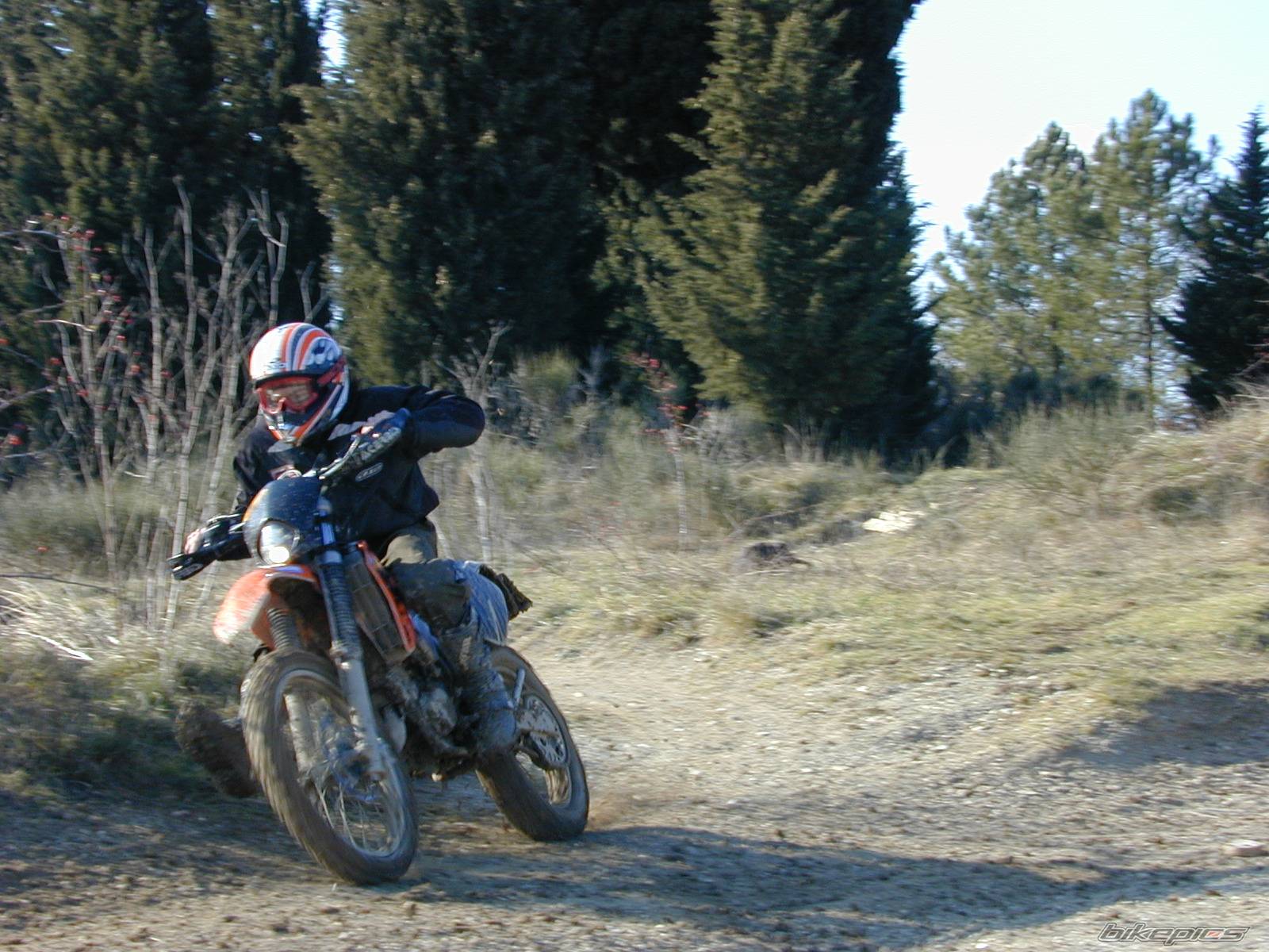 Photo 497176