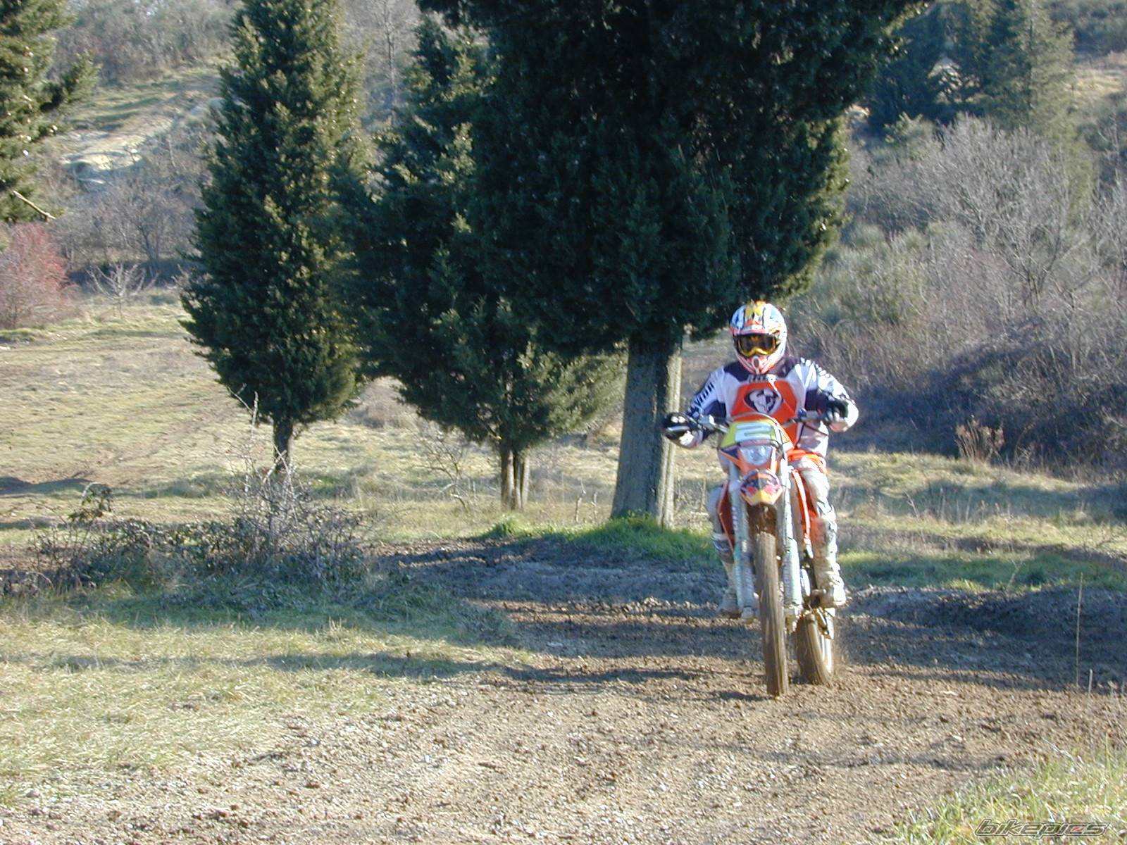 Photo 497181