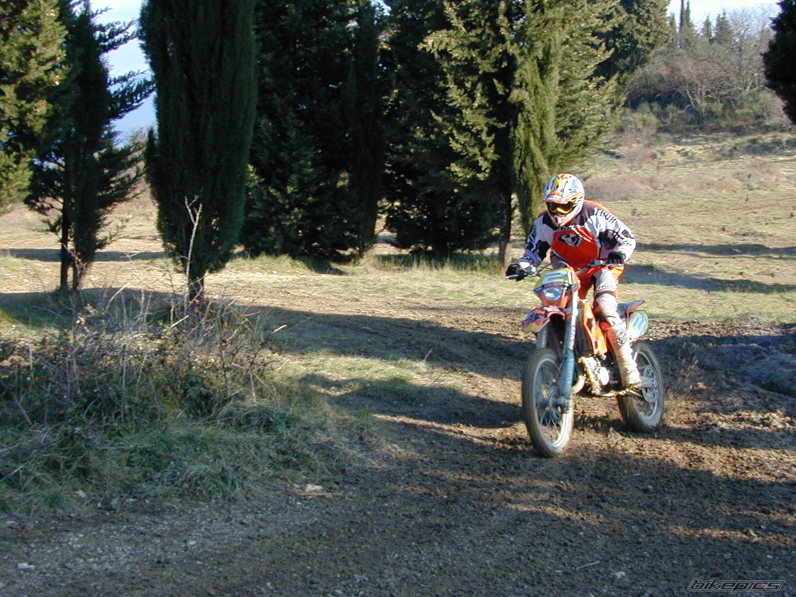 Photo 497182