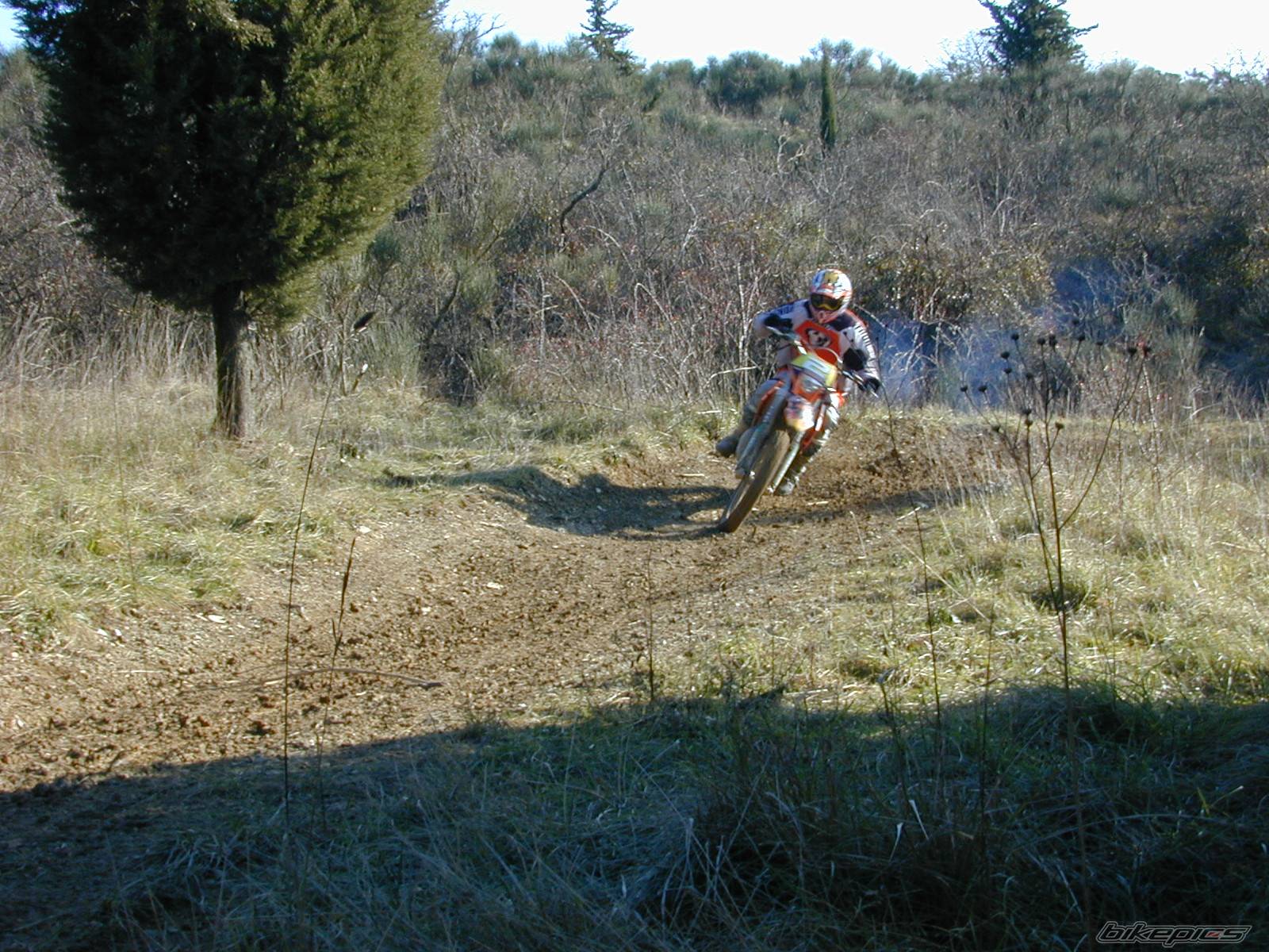 Photo 497184