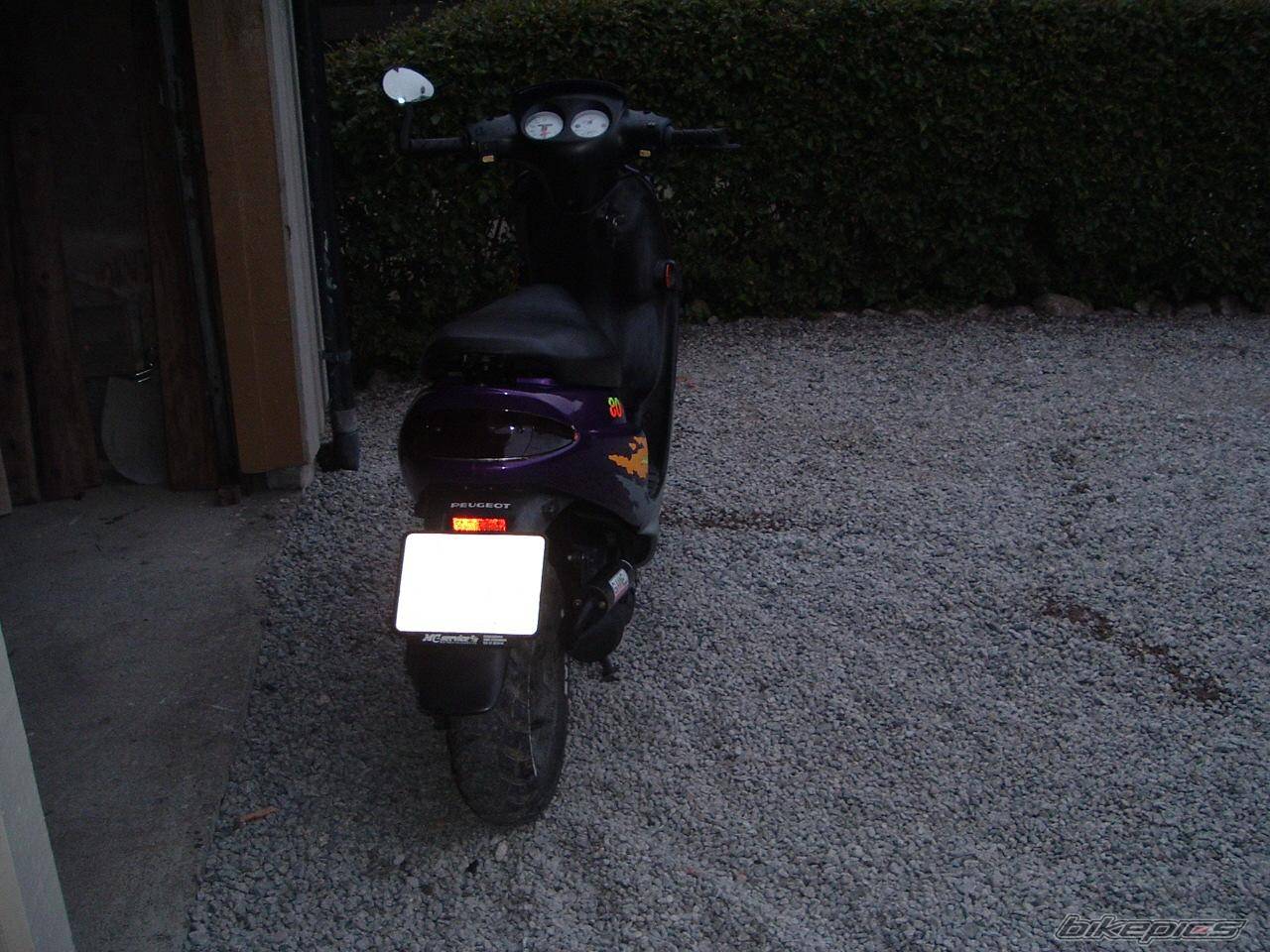 Photo 497186