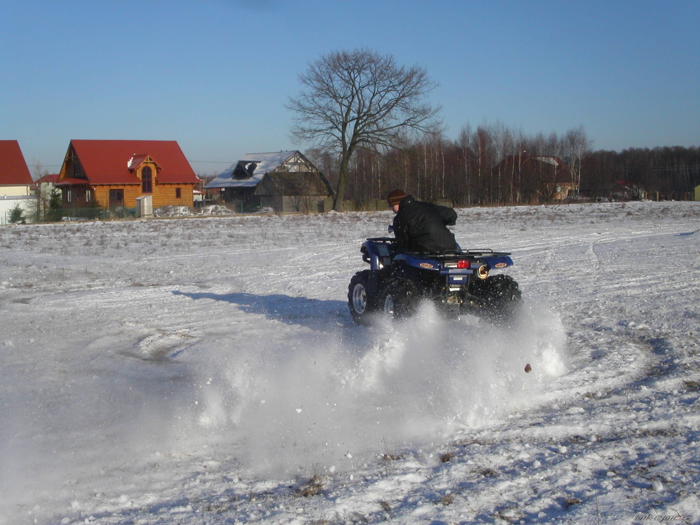 Photo 497195