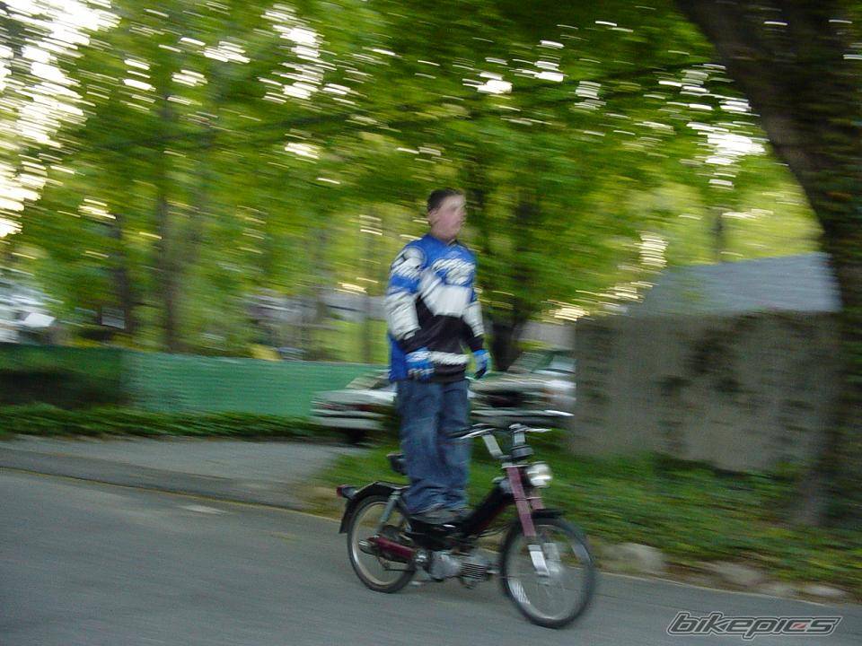 Photo 497250