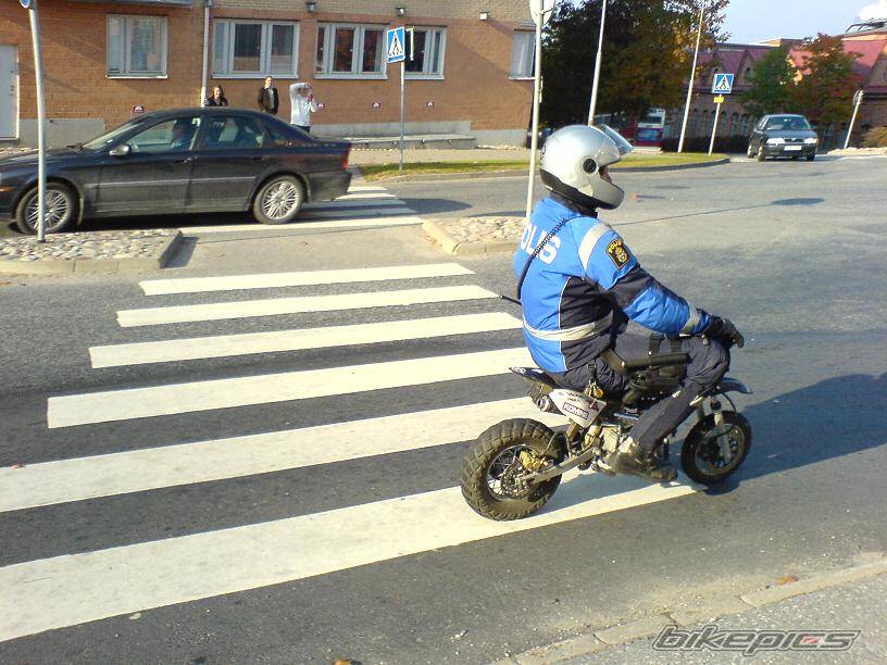 Photo 497262