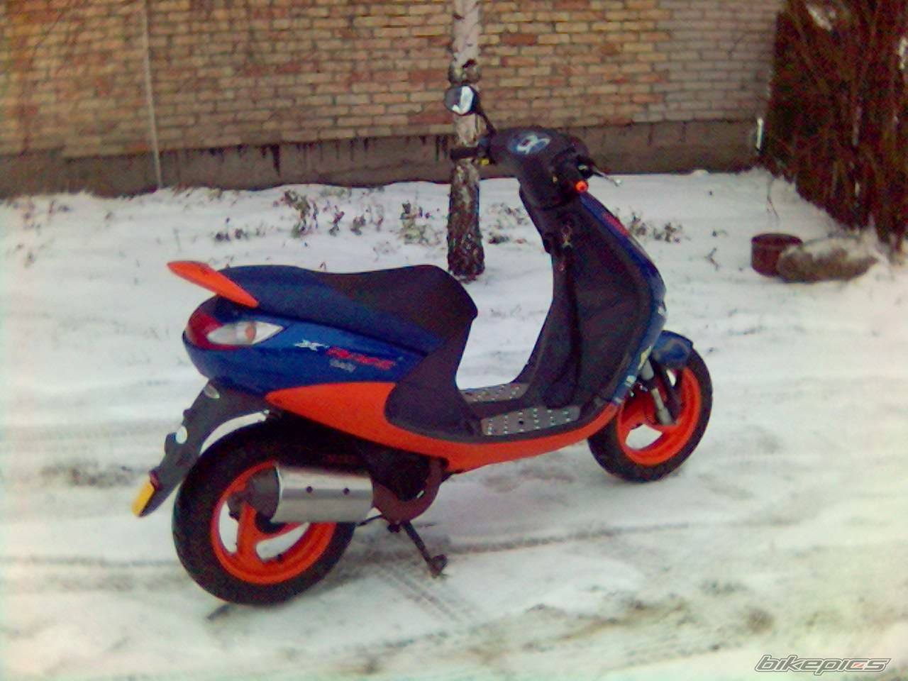 Photo 497282
