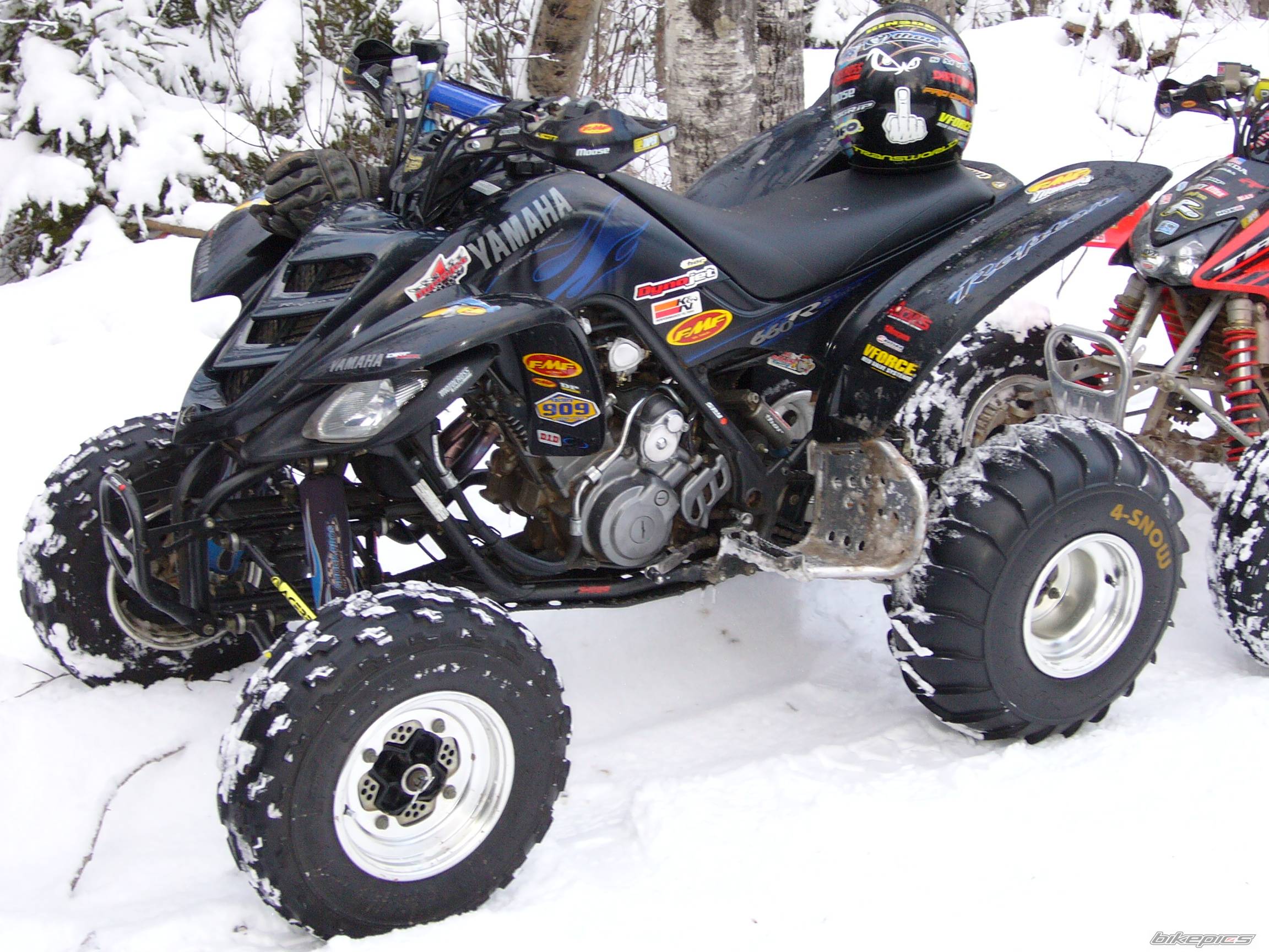 Photo 497327