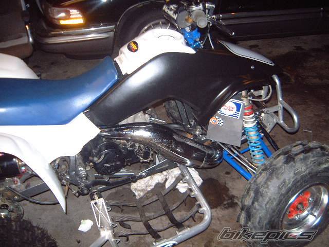 Photo 497356