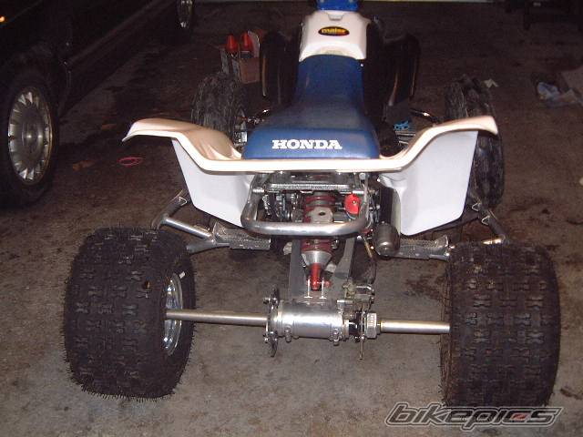 Photo 497357